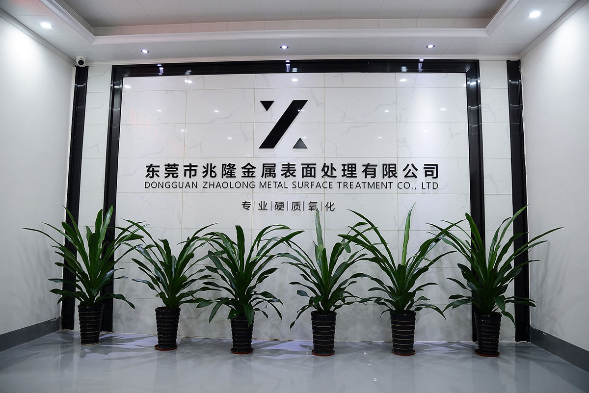 碳纖表面匹克球拍